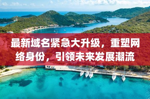 最新域名紧急大升级，重塑网络身份，引领未来发展潮流