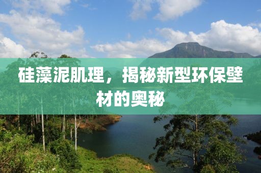硅藻泥肌理，揭秘新型环保壁材的奥秘