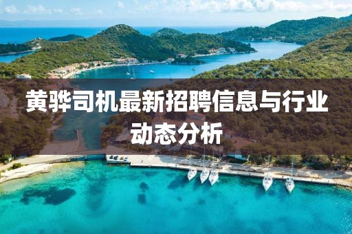 浪梦 第11页