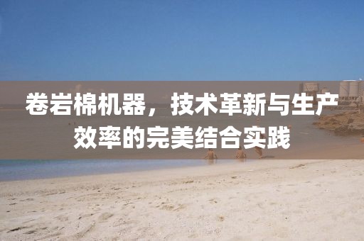 卷岩棉机器，技术革新与生产效率的完美结合实践