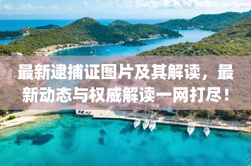 最新逮捕证图片及其解读，最新动态与权威解读一网打尽！
