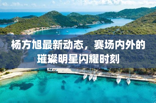 杨方旭最新动态，赛场内外的璀璨明星闪耀时刻
