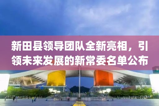 新田县领导团队全新亮相，引领未来发展的新常委名单公布