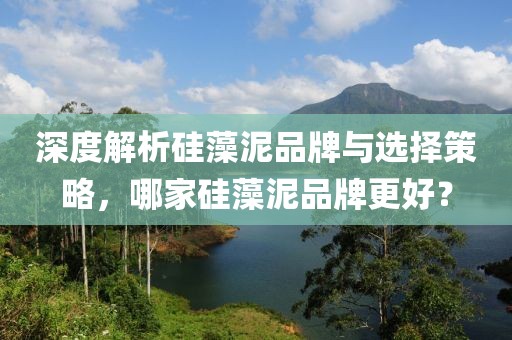 深度解析硅藻泥品牌与选择策略，哪家硅藻泥品牌更好？
