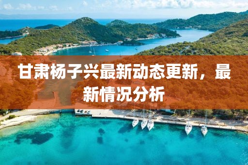 甘肃杨子兴最新动态更新，最新情况分析