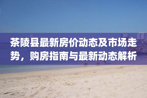 茶陵县最新房价动态及市场走势，购房指南与最新动态解析