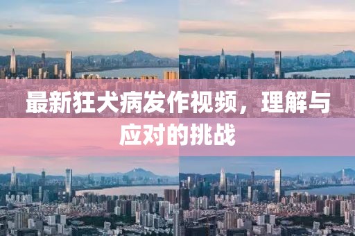 最新狂犬病发作视频，理解与应对的挑战