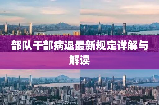 部队干部病退最新规定详解与解读