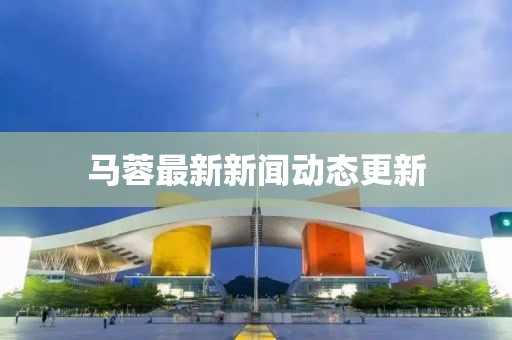 马蓉最新新闻动态更新
