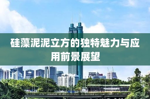 硅藻泥泥立方的独特魅力与应用前景展望