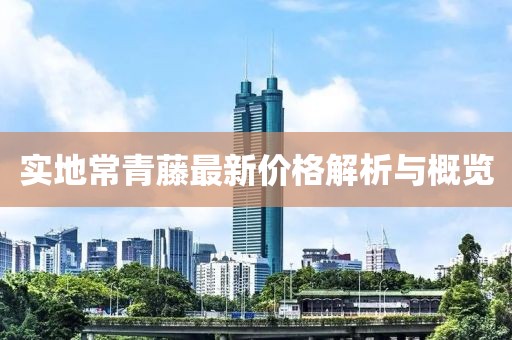 实地常青藤最新价格解析与概览