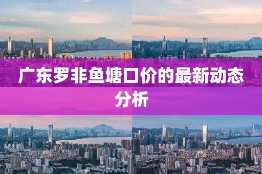 2025年2月 第4页