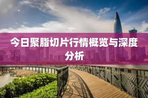 今日聚脂切片行情概览与深度分析