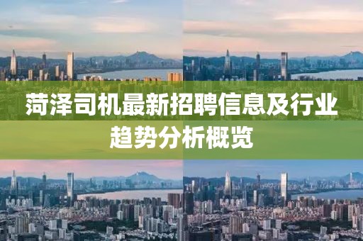 菏泽司机最新招聘信息及行业趋势分析概览