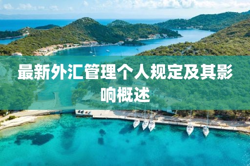 最新外汇管理个人规定及其影响概述