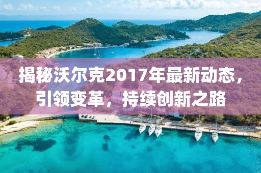 揭秘沃尔克2017年最新动态，引领变革，持续创新之路