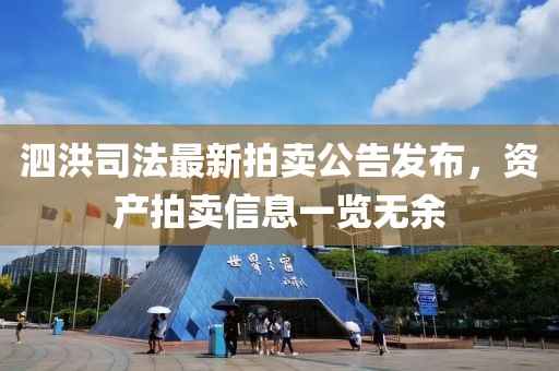 泗洪司法最新拍卖公告发布，资产拍卖信息一览无余