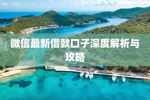 微信最新借款口子深度解析与攻略
