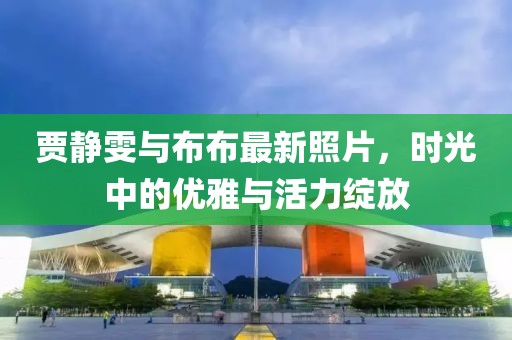 贾静雯与布布最新照片，时光中的优雅与活力绽放