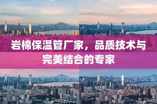 岩棉保温管厂家，品质技术与完美结合的专家