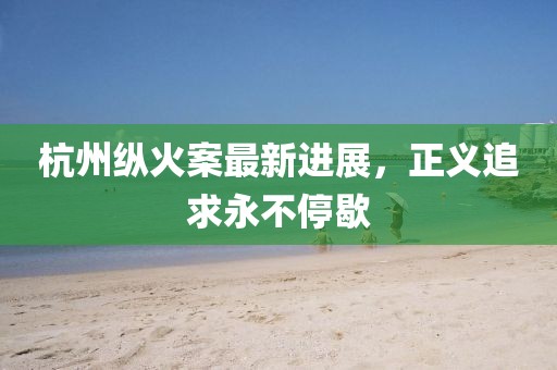 杭州纵火案最新进展，正义追求永不停歇