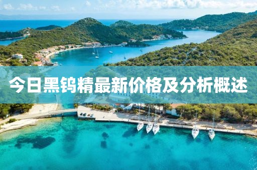 今日黑钨精最新价格及分析概述