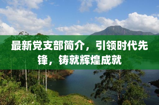 最新党支部简介，引领时代先锋，铸就辉煌成就