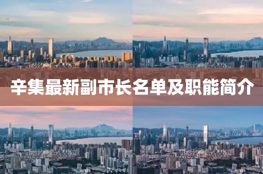 辛集最新副市长名单及职能简介