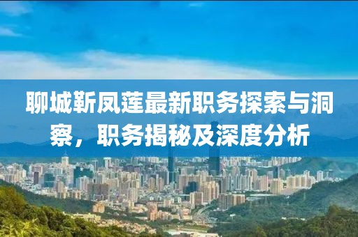 聊城靳凤莲最新职务探索与洞察，职务揭秘及深度分析