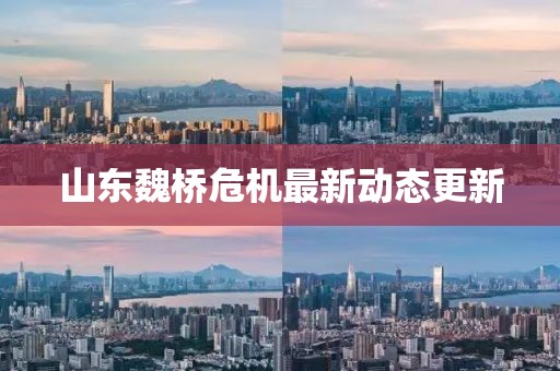 山东魏桥危机最新动态更新