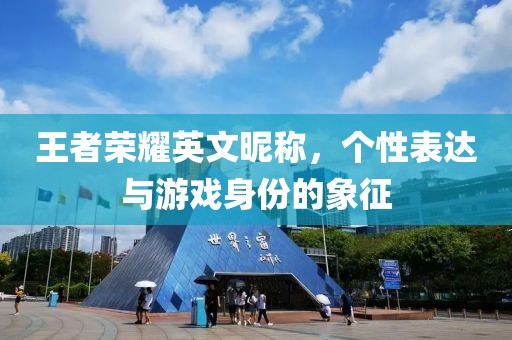 王者荣耀英文昵称，个性表达与游戏身份的象征