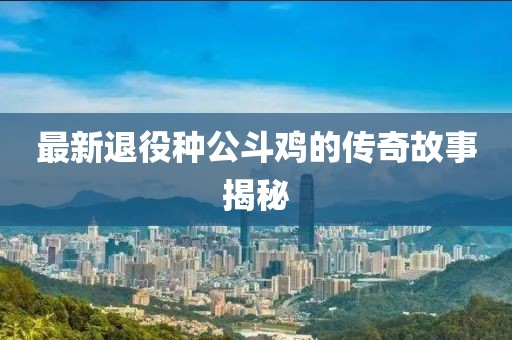 最新退役种公斗鸡的传奇故事揭秘