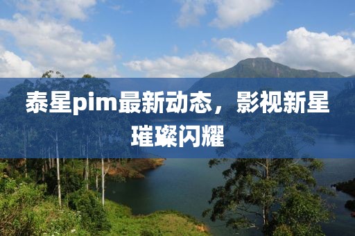 泰星pim最新动态，影视新星璀璨闪耀