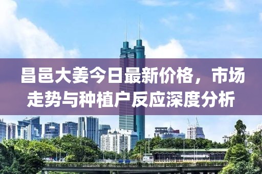 昌邑大姜今日最新价格，市场走势与种植户反应深度分析