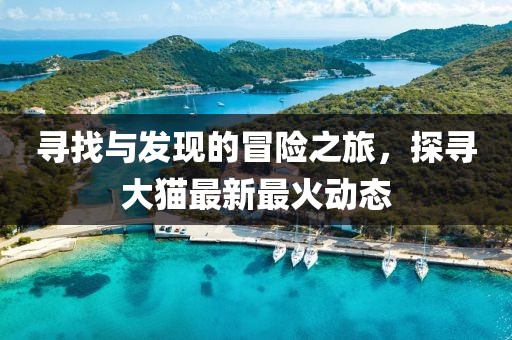 寻找与发现的冒险之旅，探寻大猫最新最火动态