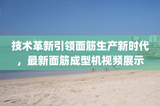 技术革新引领面筋生产新时代，最新面筋成型机视频展示