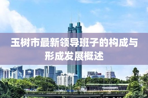 玉树市最新领导班子的构成与形成发展概述