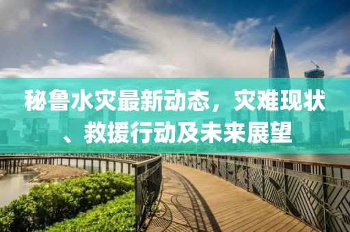 秘鲁水灾最新动态，灾难现状、救援行动及未来展望