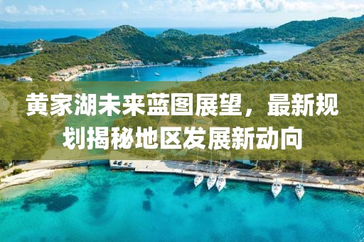 黄家湖未来蓝图展望，最新规划揭秘地区发展新动向