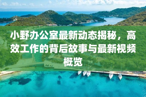 小野办公室最新动态揭秘，高效工作的背后故事与最新视频概览
