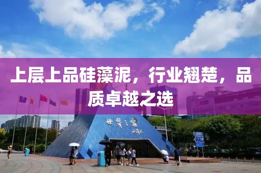 上层上品硅藻泥，行业翘楚，品质卓越之选
