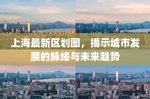 上海最新区划图，揭示城市发展的脉络与未来趋势