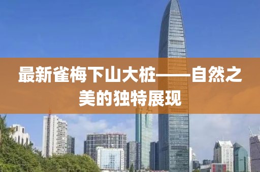 最新雀梅下山大桩——自然之美的独特展现