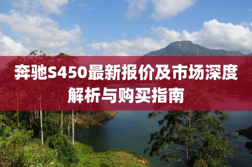 奔驰S450最新报价及市场深度解析与购买指南