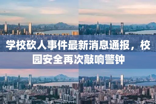 学校砍人事件最新消息通报，校园安全再次敲响警钟
