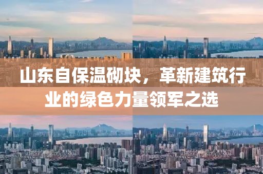 山东自保温砌块，革新建筑行业的绿色力量领军之选