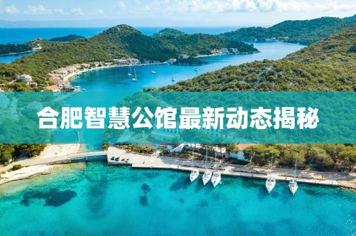 合肥智慧公馆最新动态揭秘