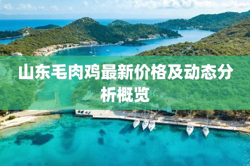依秋 第9页