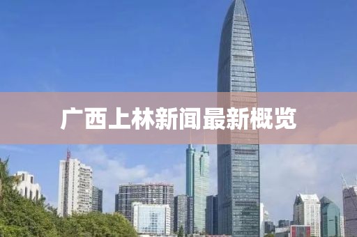 广西上林新闻最新概览