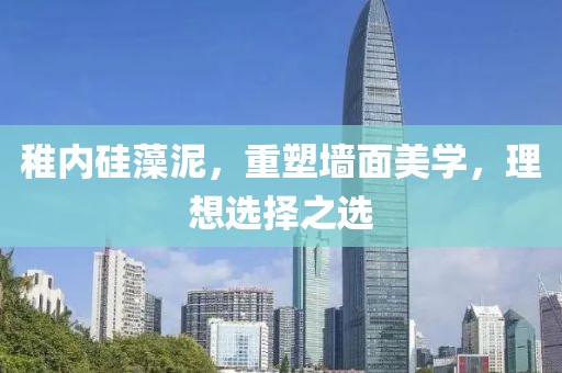 稚内硅藻泥，重塑墙面美学，理想选择之选